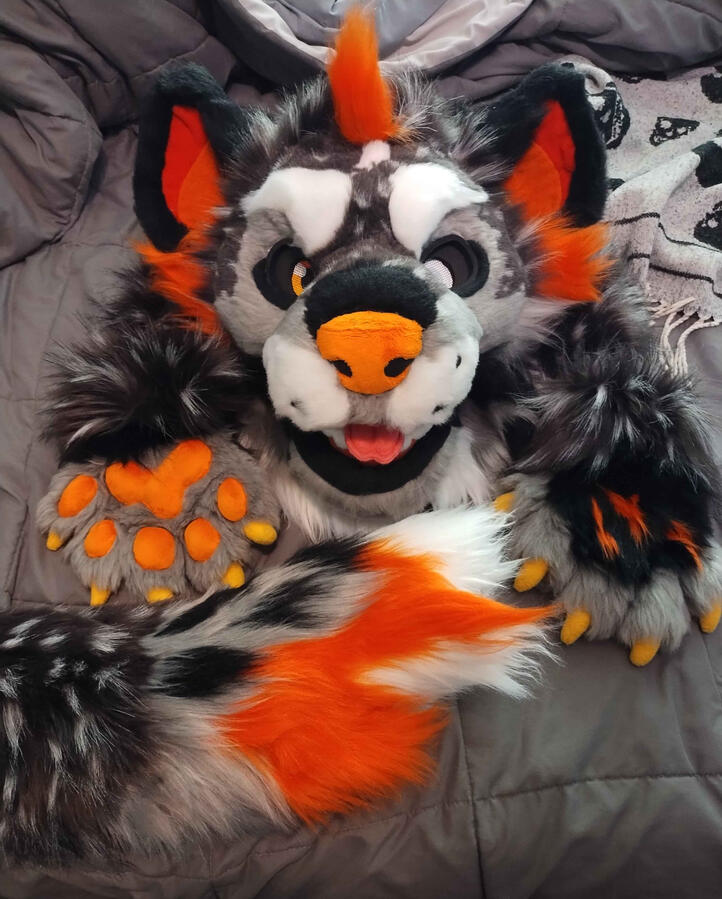 Name: Hallow the Hyena; Owner: FluffGator; Photos: DelGrimm