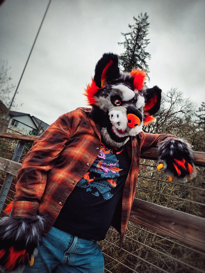 Name: Hallow the Hyena; Owner: FluffGator; Photos: DelGrimm