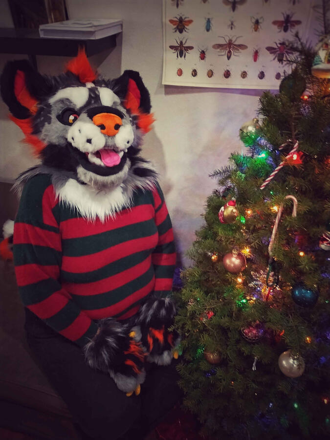 Name: Hallow the Hyena; Owner: FluffGator; Photos: DelGrimm