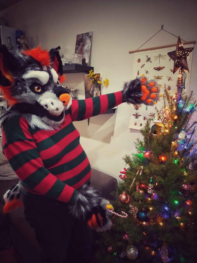 Name: Hallow the Hyena; Owner: FluffGator; Photos: DelGrimm