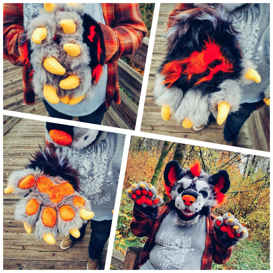 Name: Hallow the Hyena; Owner: FluffGator; Photos: DelGrimm
