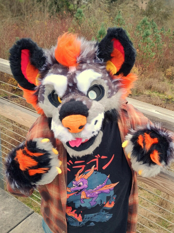 Name: Hallow the Hyena; Owner: FluffGator; Photos: DelGrimm