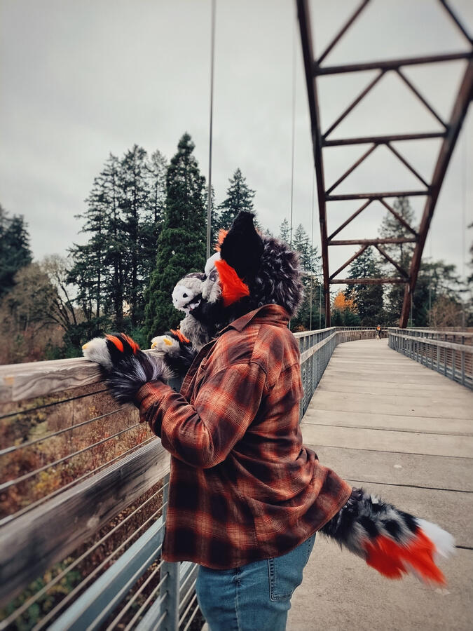 Name: Hallow the Hyena; Owner: FluffGator; Photos: DelGrimm