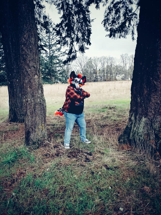 Name: Hallow the Hyena; Owner: FluffGator; Photos: DelGrimm