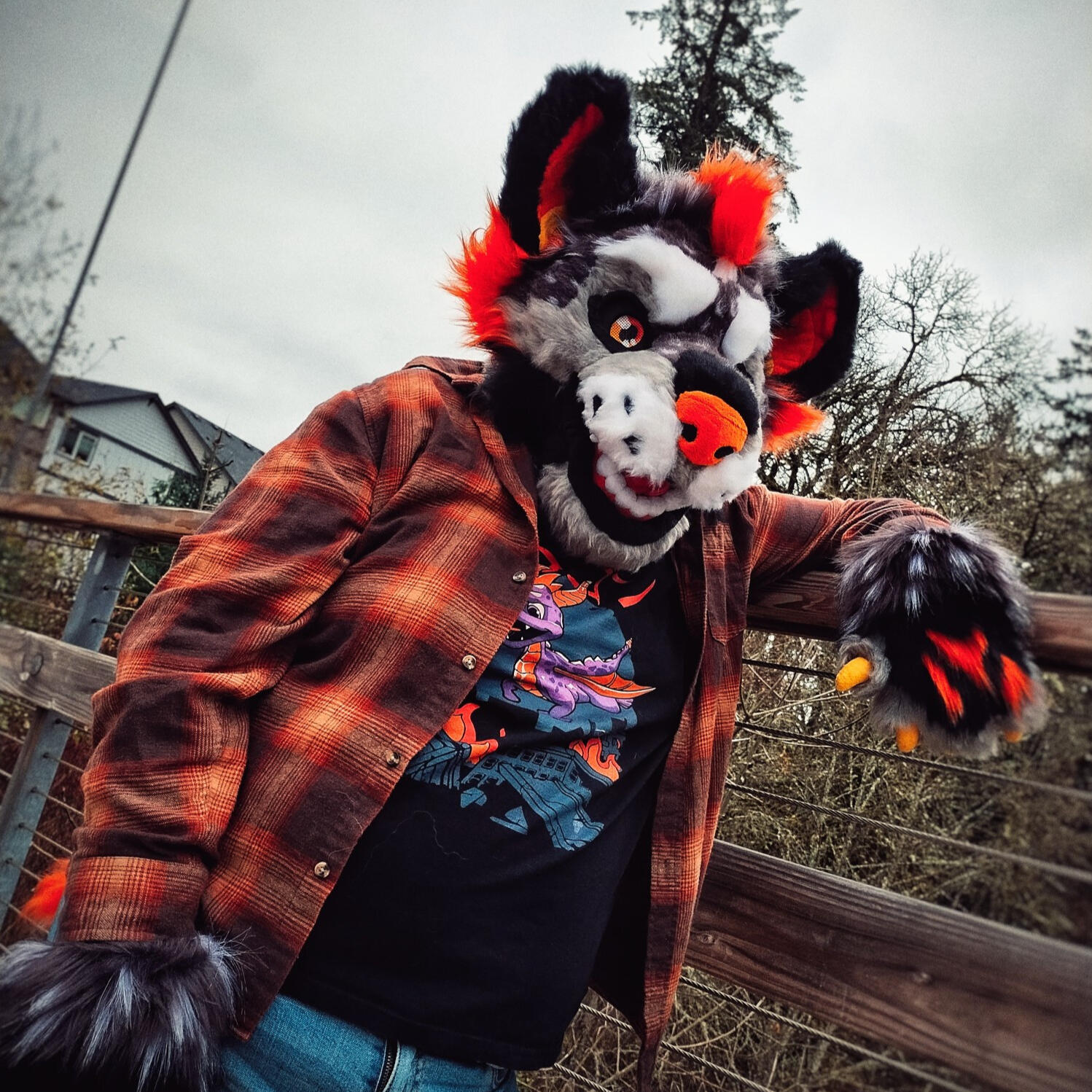 Hallow the Hyena