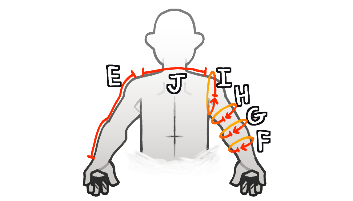 A diagram showing all that's included in a Full Partial Commission!