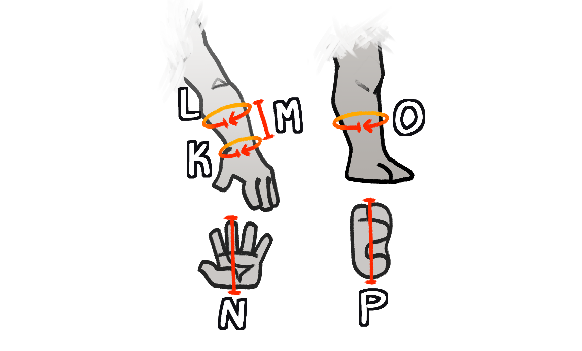 A diagram showing all that's included in a Full Partial Commission!